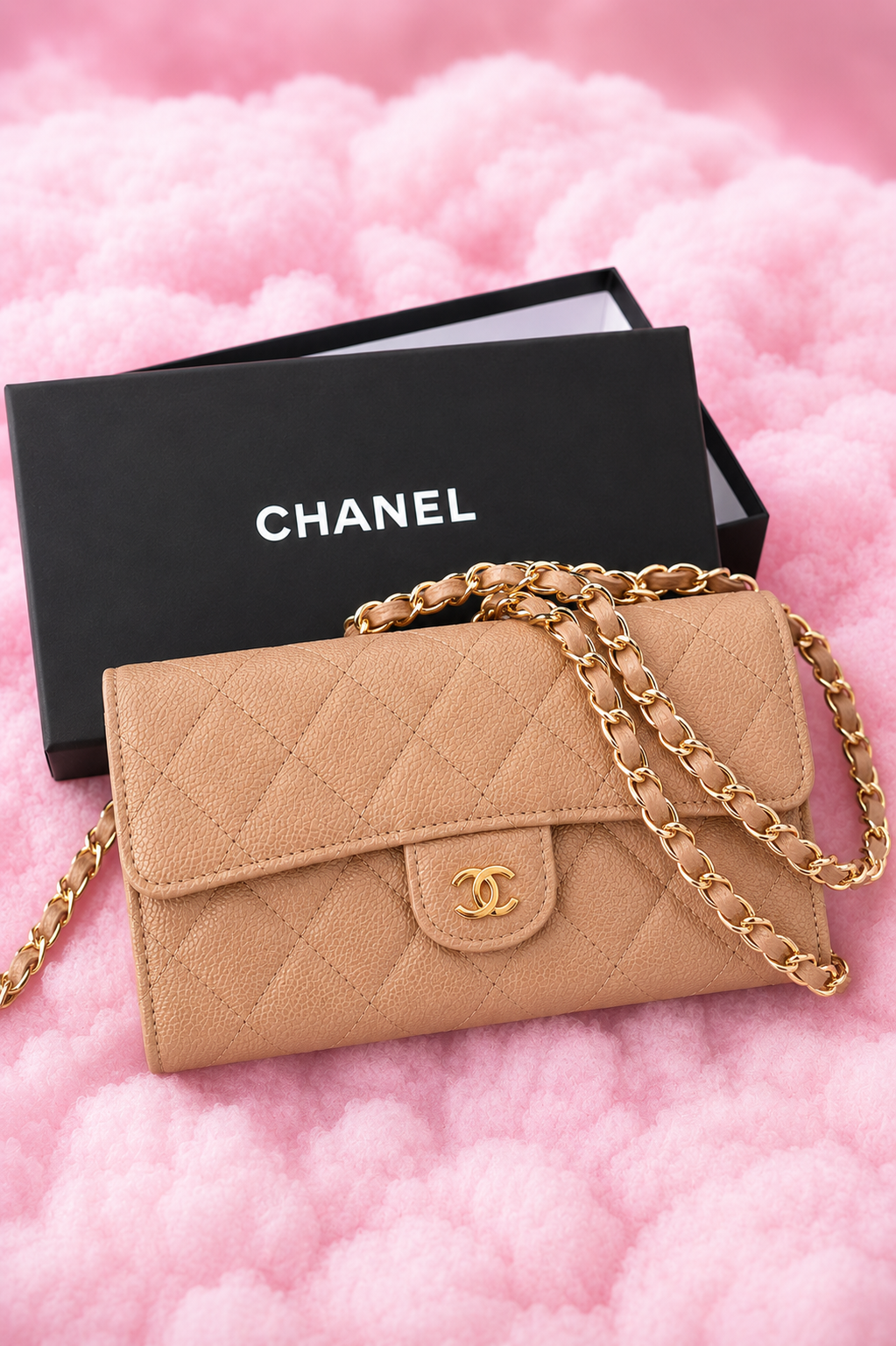 CHANEL BAG NUDE